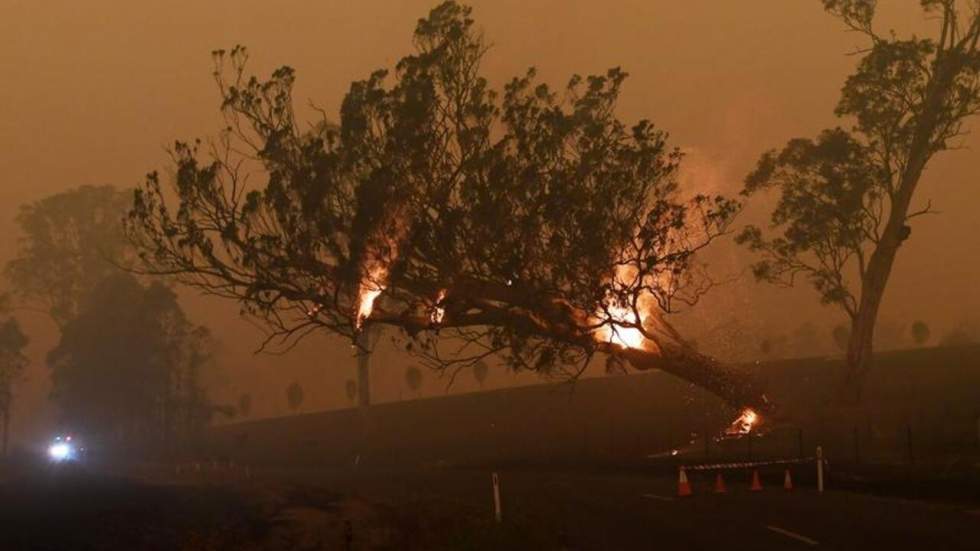 Incendies en Australie : chronique d'un désastre annoncé