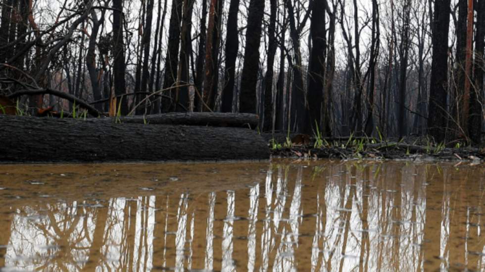 En Australie, des orages éteignent les feux à l’est… et provoquent des inondations