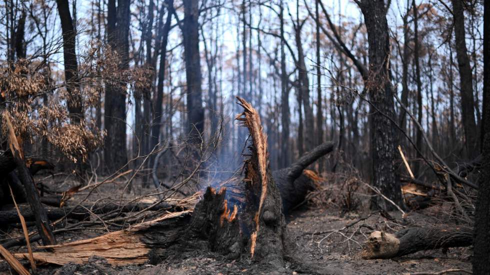 L'Australie maîtrise les incendies dans les zones les plus touchées, la fin de la crise s'amorce