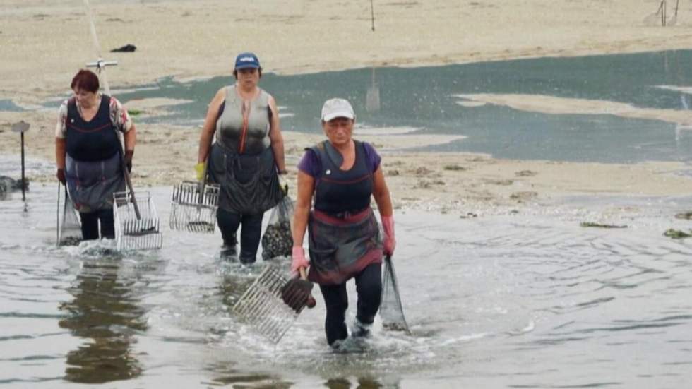 Les travailleuses de la mer en quête de reconnaissance