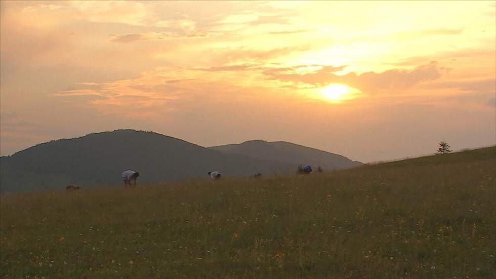 La route des Crêtes, écrin aux trésors des Vosges