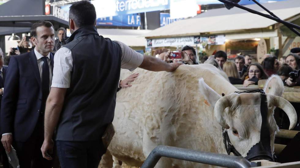 Salon de l’agriculture : un sentiment d’agribashing dans l’air Salon de l’agriculture : un sentiment d’agribashing dans l’air