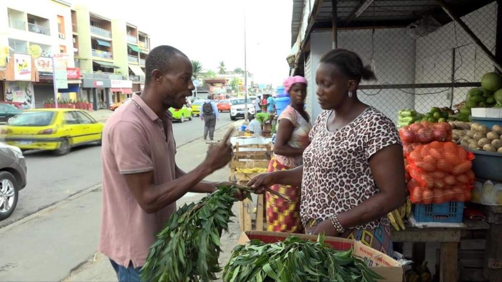 Coronavirus : les feuilles de neem utilisées à tort, le Covid-19 parfois confondu avec le paludisme