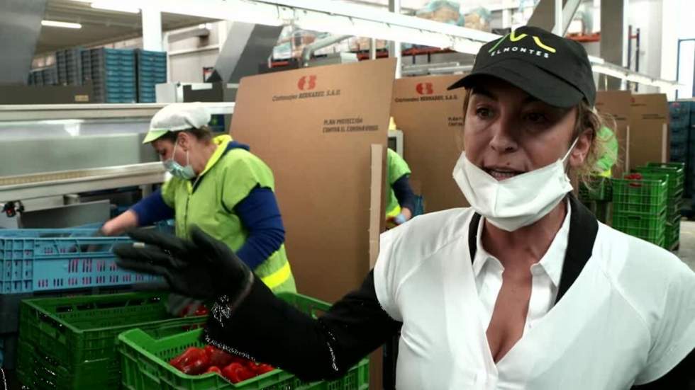 Covid-19 : en Espagne, les travailleurs agricoles dénoncent les conditions de travail