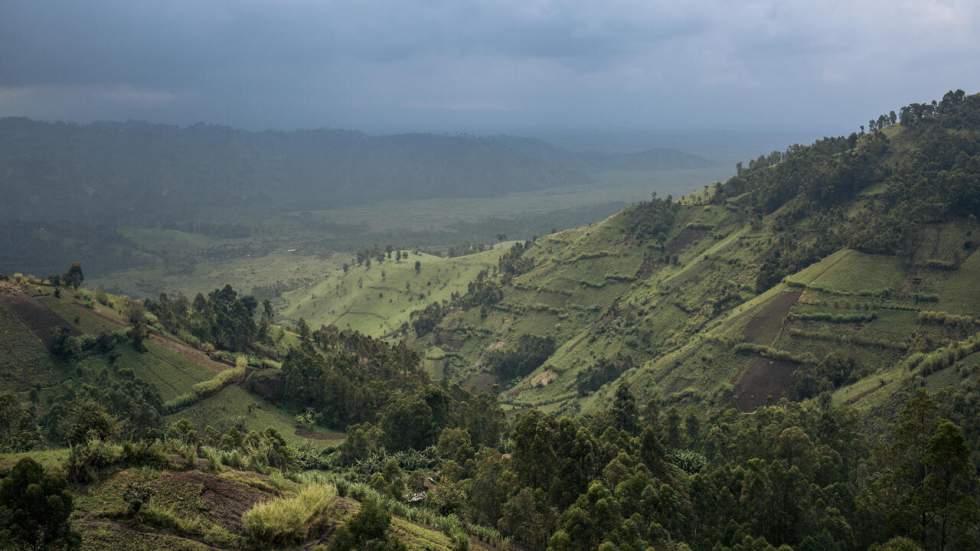 RD Congo : une embuscade dans le parc des Virunga fait 17 morts