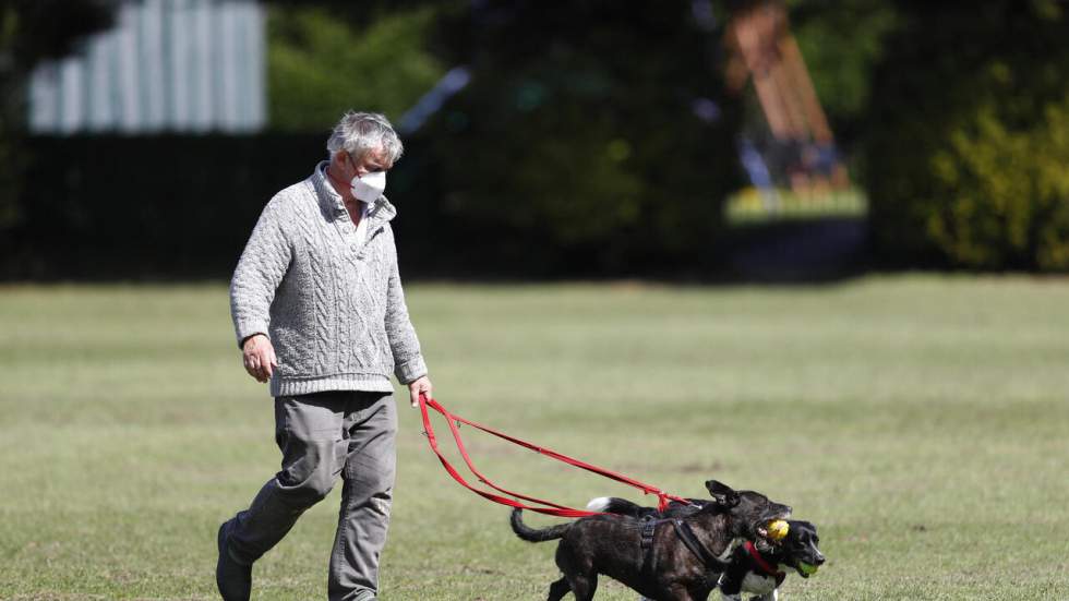 Barbecue, labradors et course d'escargots... Quand les commentateurs sportifs confinés s'ennuient