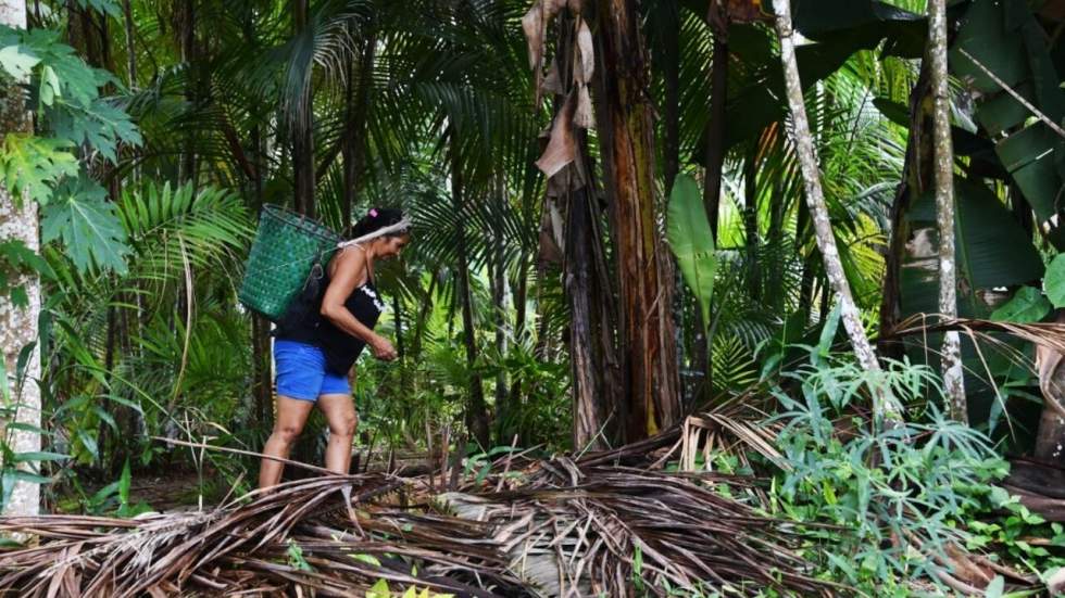 Isolée et démunie, l'Amazonie colombienne frappée par la pandémie de Covid-19