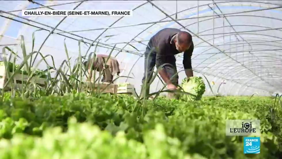 Le Covid-19 met l’agriculture européenne sous tension (1/2)