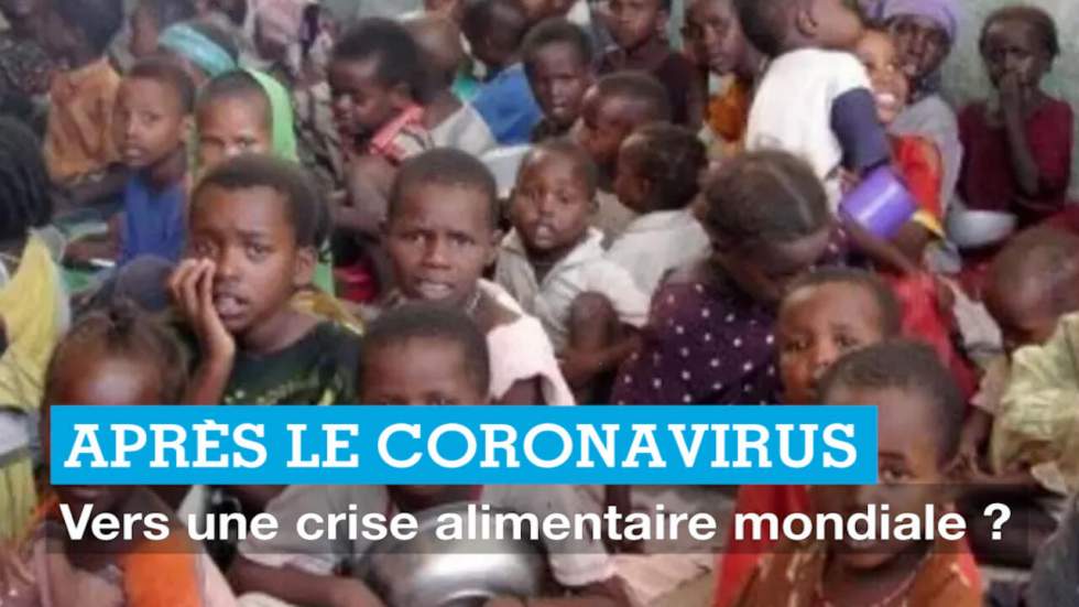 Après le coronavirus : vers une crise alimentaire mondiale ?