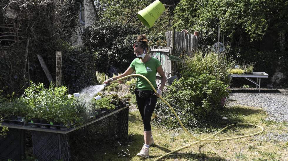 Alerte sur la sécurité alimentaire : des collapsologues appellent à l’adoption de stratégies locales