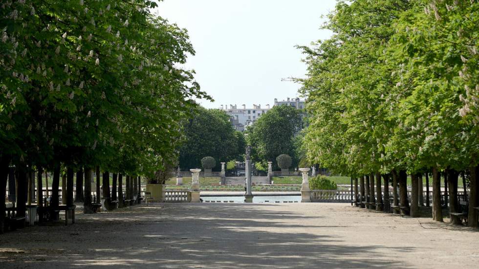 Parcs et jardins fermés en zone rouge : le Conseil d'État saisi