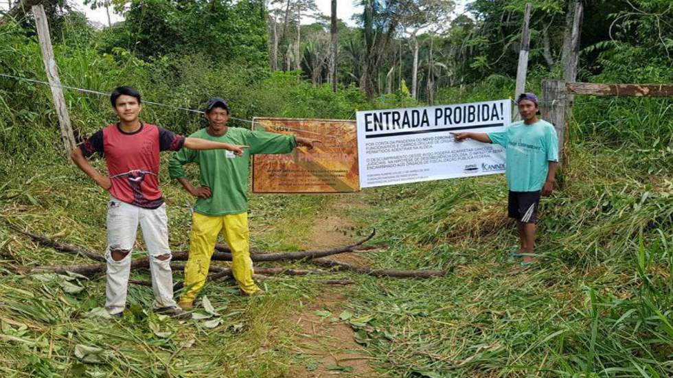 Brésil : déforestation record en Amazonie à l'ombre de la pandémie de Covid-19