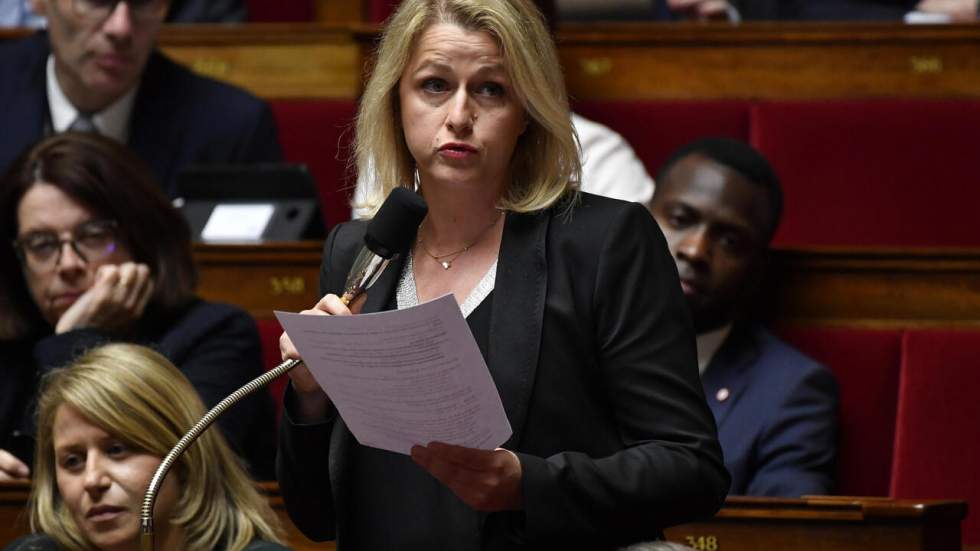 Barbara Pompili : une écologiste chargée de verdir l'action du gouvernement Barbara Pompili : une écologiste chargée de verdir l'action du gouvernement