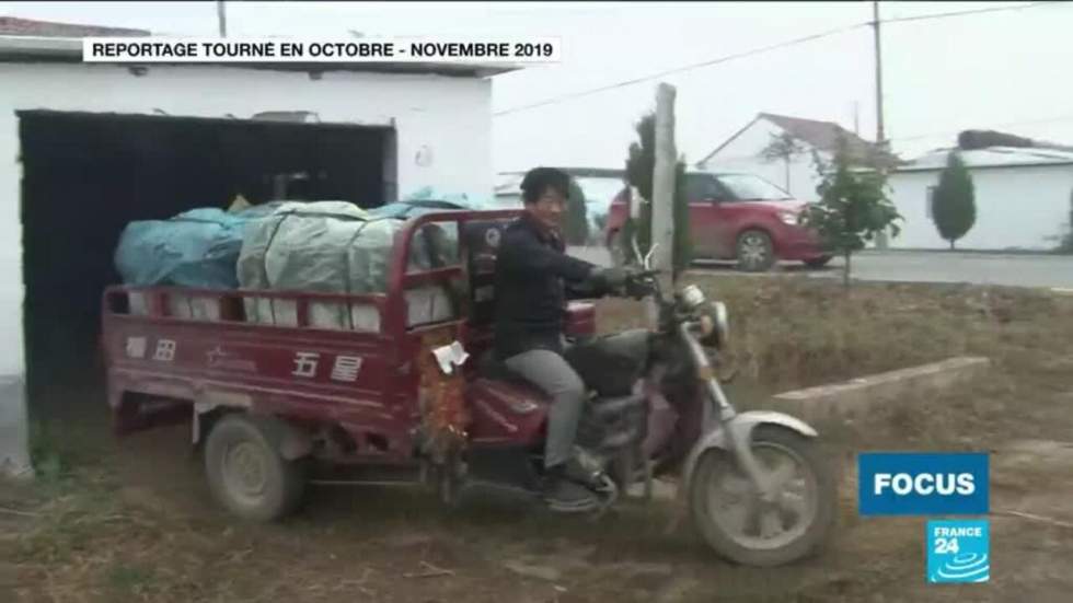 Chine : le boom des coopératives agricoles Chine : le boom des coopératives agricoles