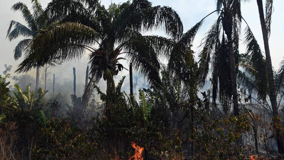 Au Brésil, l’Amazonie brûle dans l’indifférence générale