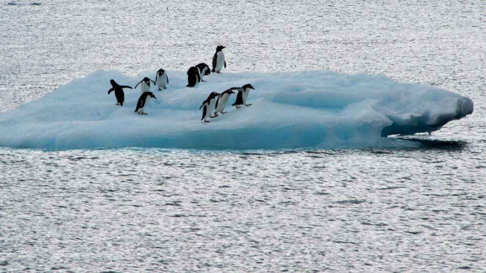 La banquise d’été de l’Arctique subit une nouvelle fonte vertigineuse