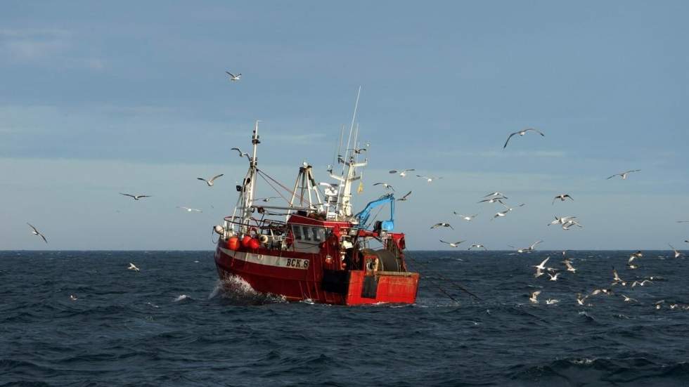 Brexit : la pêche, l'éternel poison des relations entre l'UE et le Royaume-Uni