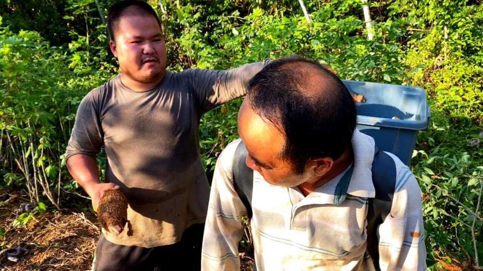 D'Indochine à la Guyane, les Hmong ont trouvé leur terre