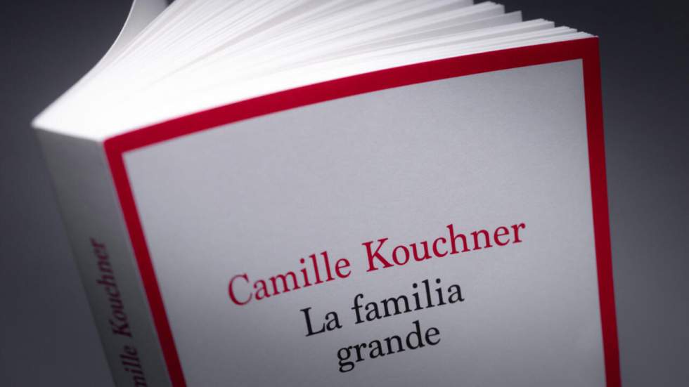 Olivier Duhamel accusé d'inceste : le frère de Camille Kouchner entendu par les enquêteurs