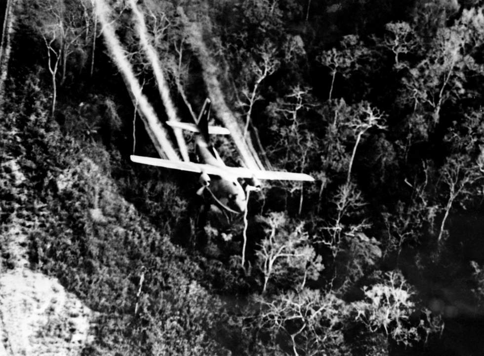 Victime de l’agent orange, une Franco-Vietnamienne se bat contre les géants de l'agrochimie