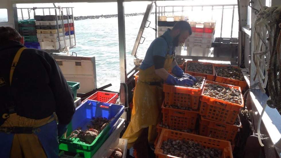 Brexit : à Jersey, l'avenir incertain des pêcheurs normands et bretons Brexit : à Jersey, l'avenir incertain des pêcheurs normands et bretons