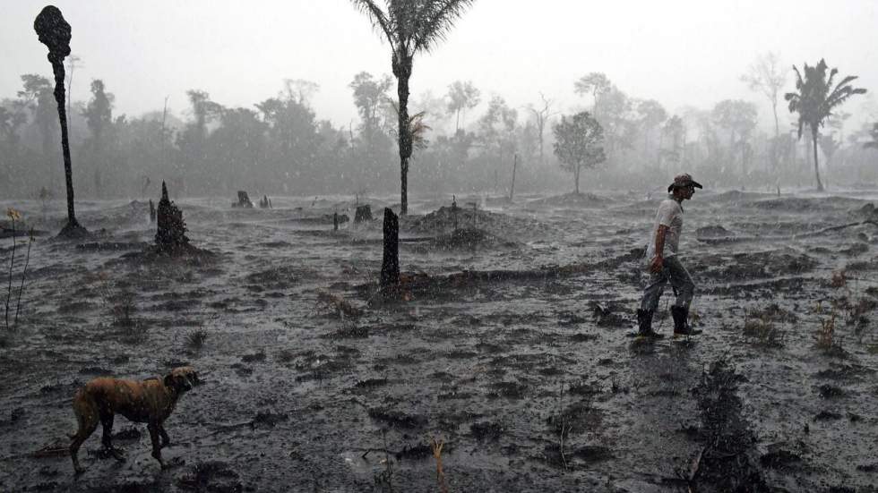 Déforestation en Amazonie : ONG et indigènes poursuivent Casino en justice en France