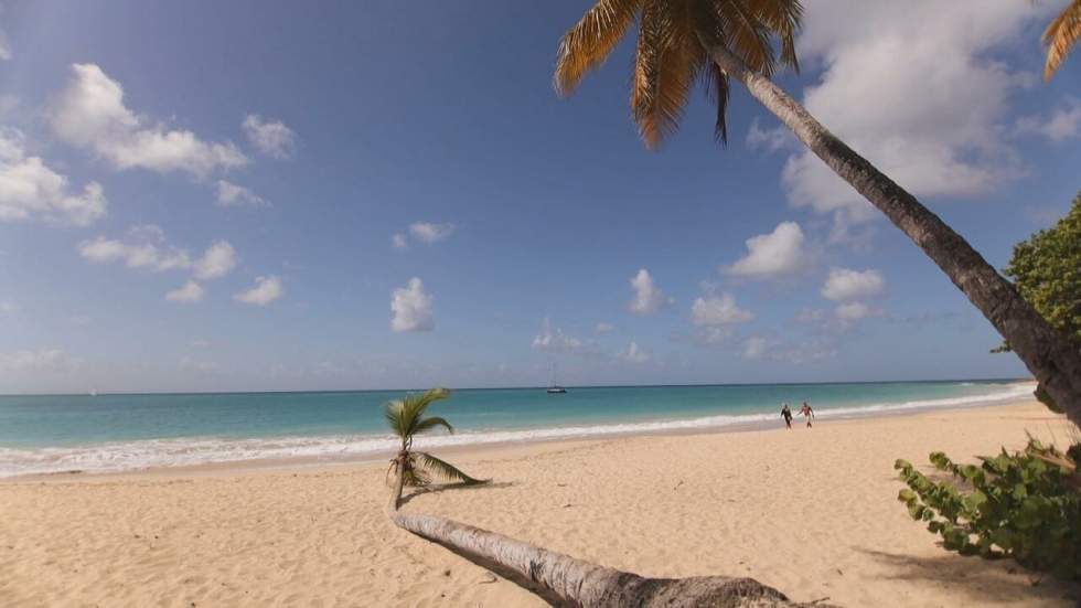 Le Paris des Arts en Martinique