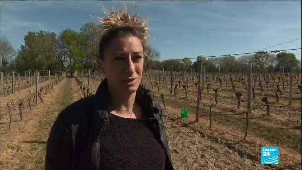 France : le monde agricole en souffrance après une vague de froid dévastatrice