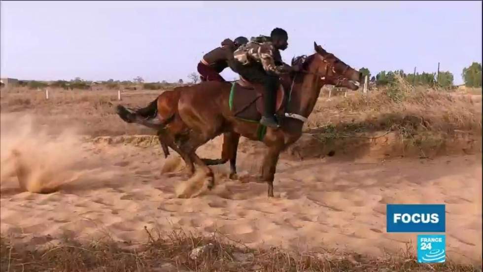 Sénégal : les courses hippiques, une passion qui attire les jeunes