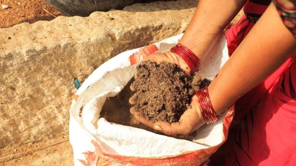 En Inde, la révolution du bio a commencé