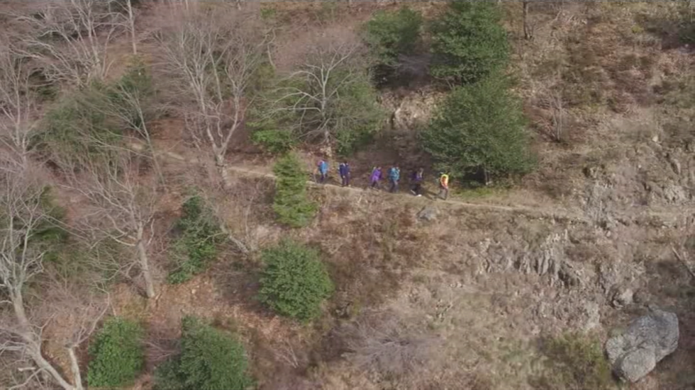 Au printemps, le réveil de la forêt d'Ardèche