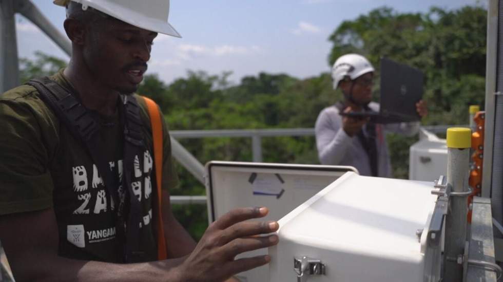 Yangambi, la cité scientifique du Congo au cœur de la jungle