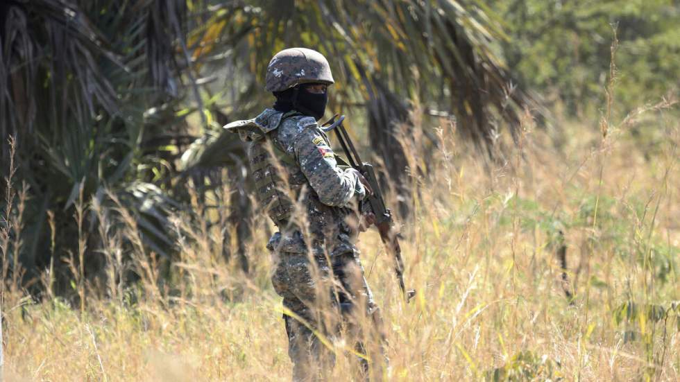 Les États d'Afrique australe approuvent l'envoi de troupes au Mozambique