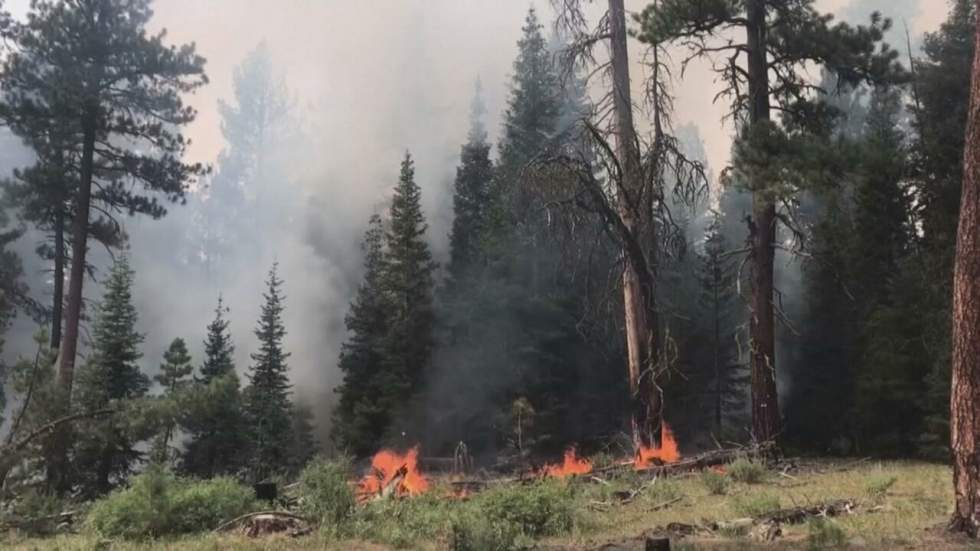 Côte ouest américaine : comment expliquer les incendies à répétition ?