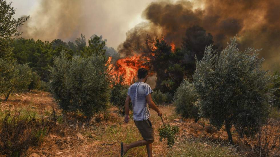 Turquie : quatrième jour de lutte contre les feux de forêt dans le sud du pays, le bilan s'alourdit