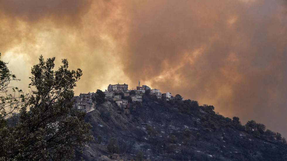 Algérie : des incendies attisés par la canicule font plus de 40 morts