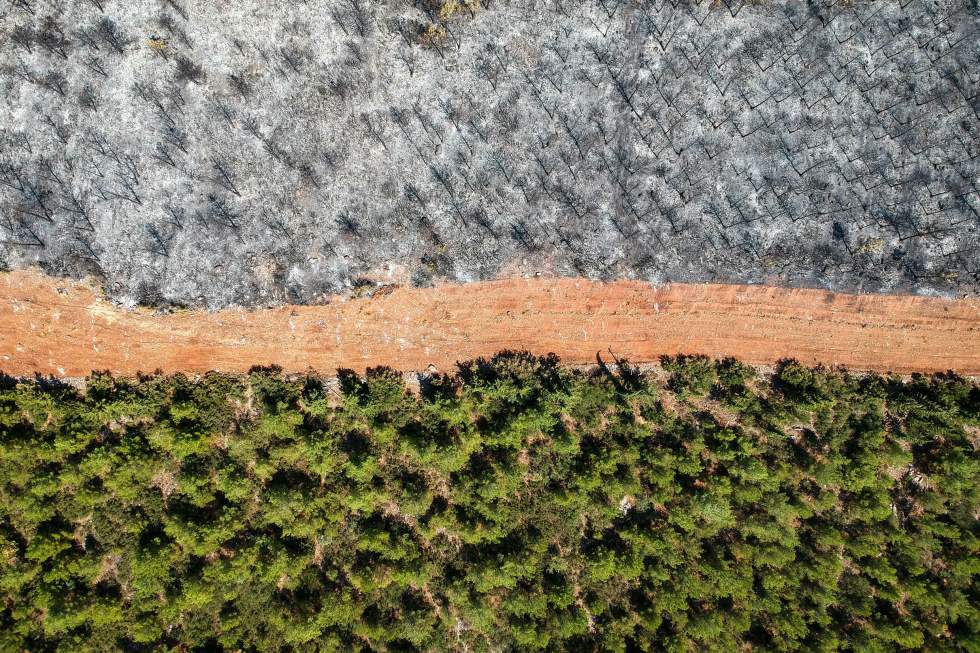 Europe, Sibérie, États-Unis… Un été marqué par des incendies historiques