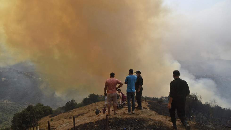 La majorité des feux de forêt en Algérie sont en voie d'extinction