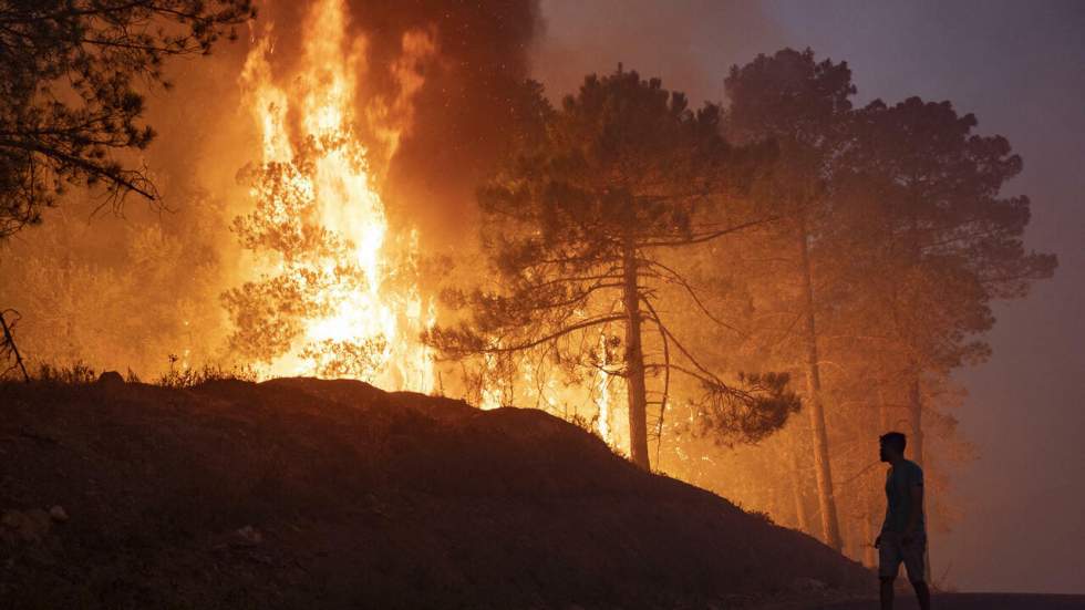 Après l'Algérie, le nord du Maroc ravagé à son tour par des feux de forêts