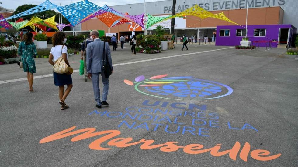 À Marseille, les ONG comptent exiger des mesures concrètes pour sauver la biodiversité À Marseille, les ONG comptent exiger des mesures concrètes pour sauver la biodiversité