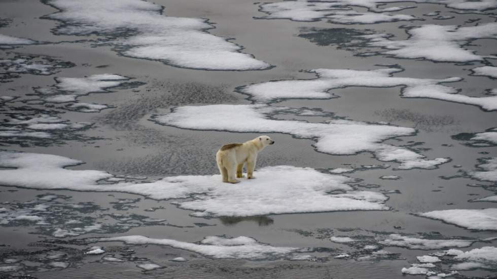 Climat : le monde "sur un chemin catastrophique vers 2,7 °C de réchauffement", s'alarme l'ONU