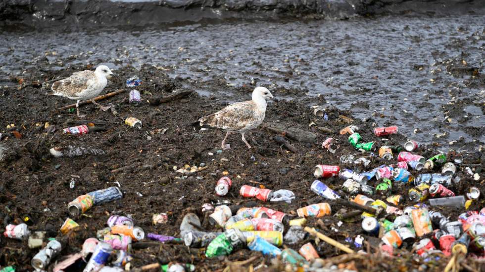 Intempéries : des tonnes de déchets déversées dans la mer à Marseille