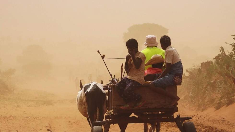 Sécheresse inédite à Madagascar : Amnesty appelle à l'aide d'urgence