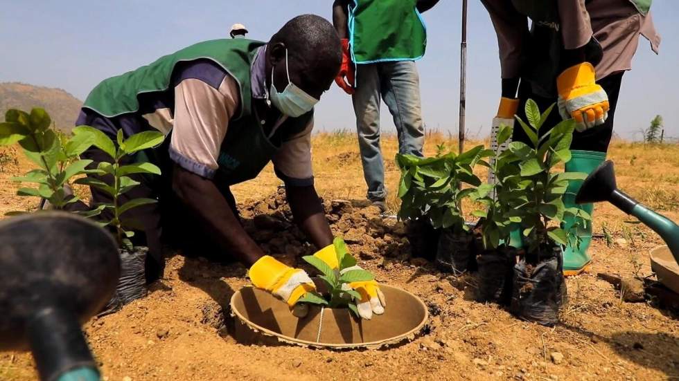 Cameroun : les réfugiés nigérians de Minawao luttent contre la désertification Cameroun : les réfugiés nigérians de Minawao luttent contre la désertification