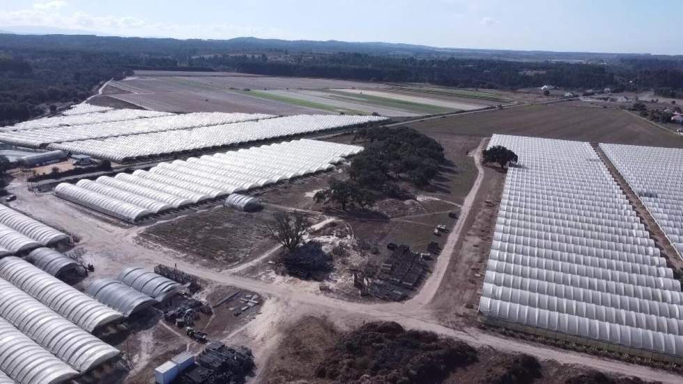 Au Portugal, des migrants asiatiques exploités dans le secteur agricole