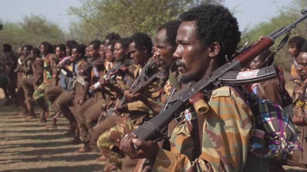 Guerre en Éthiopie : l'Armée de libération oromo progresse vers Addis-Abeba