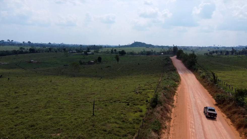 Brésil : la "mafia agricole" à l’assaut de la forêt de Rondônia Brésil : la "mafia agricole" à l’assaut de la forêt de Rondônia