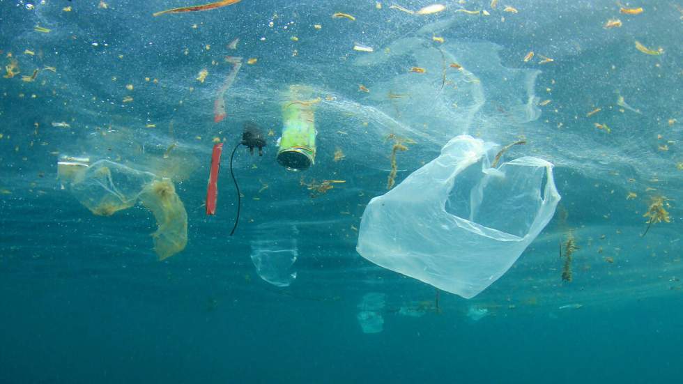 One Ocean Summit : "La lueur d’espoir est à chercher dans les prises de conscience citoyennes" One Ocean Summit : "La lueur d’espoir est à chercher dans les prises de conscience citoyennes"