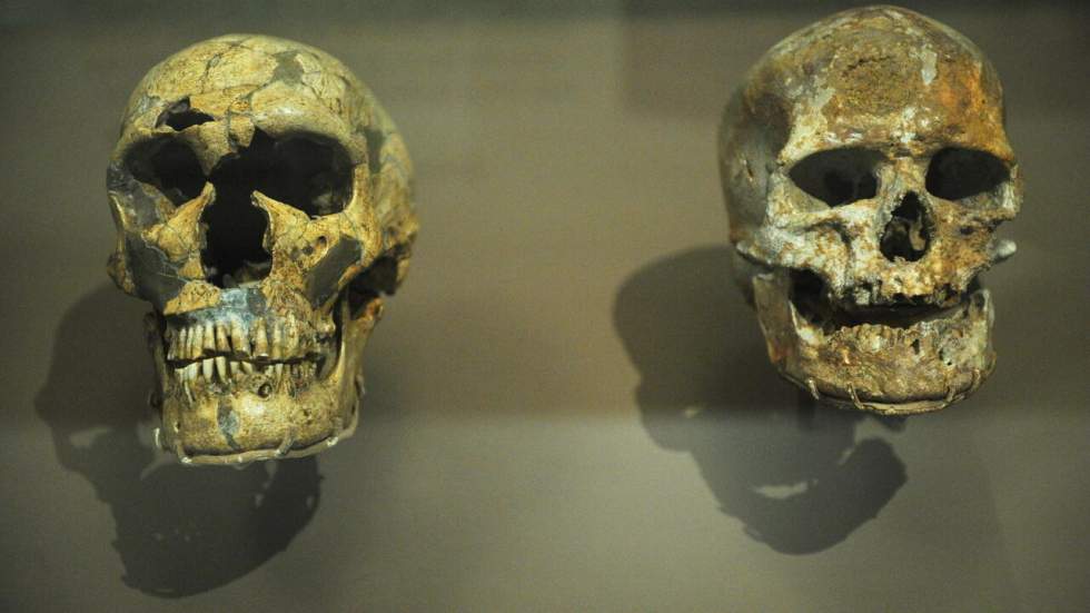 Homo sapiens était présent en Europe plus tôt qu'on ne le pensait Homo sapiens était présent en Europe plus tôt qu'on ne le pensait