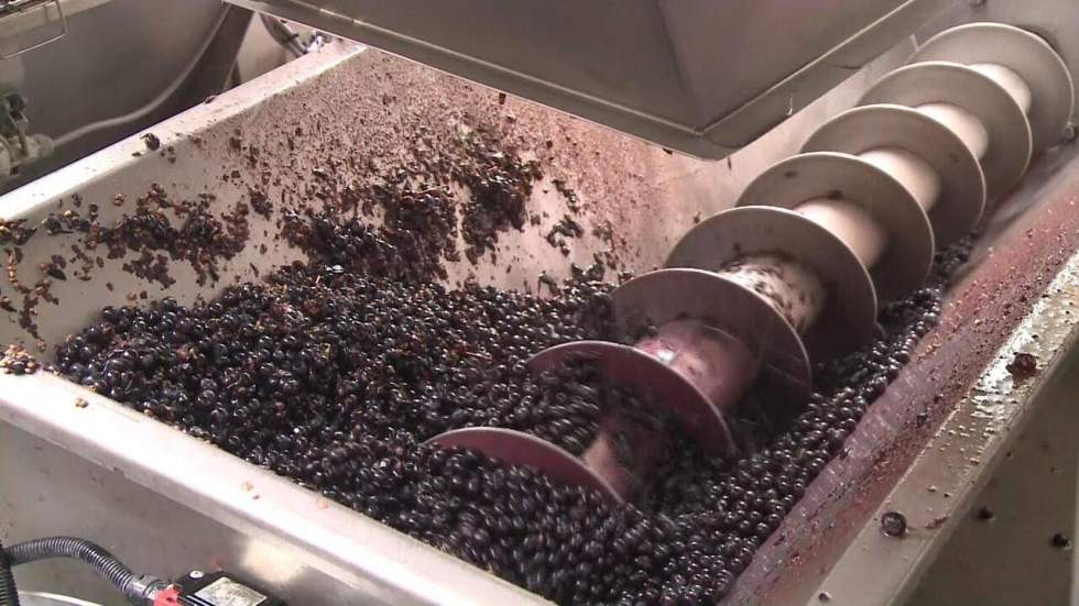 Vin français : des exportations record en 2021 Vin français : des exportations record en 2021